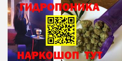 spice Кинель