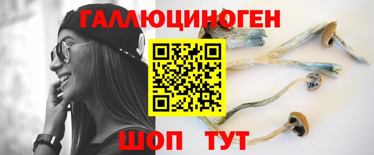 Галлюциногенные грибы прущие грибы Королёв